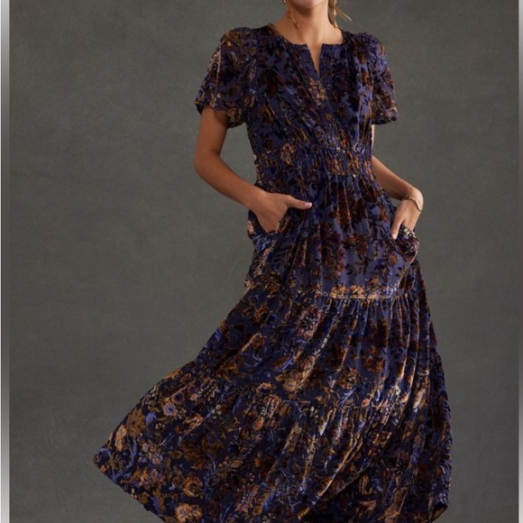 NWT Anthropologie Maxie Somerset Velvet edition dress size 3x - Picture 5 of 9
